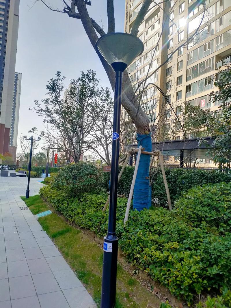 庭院灯实物拍摄